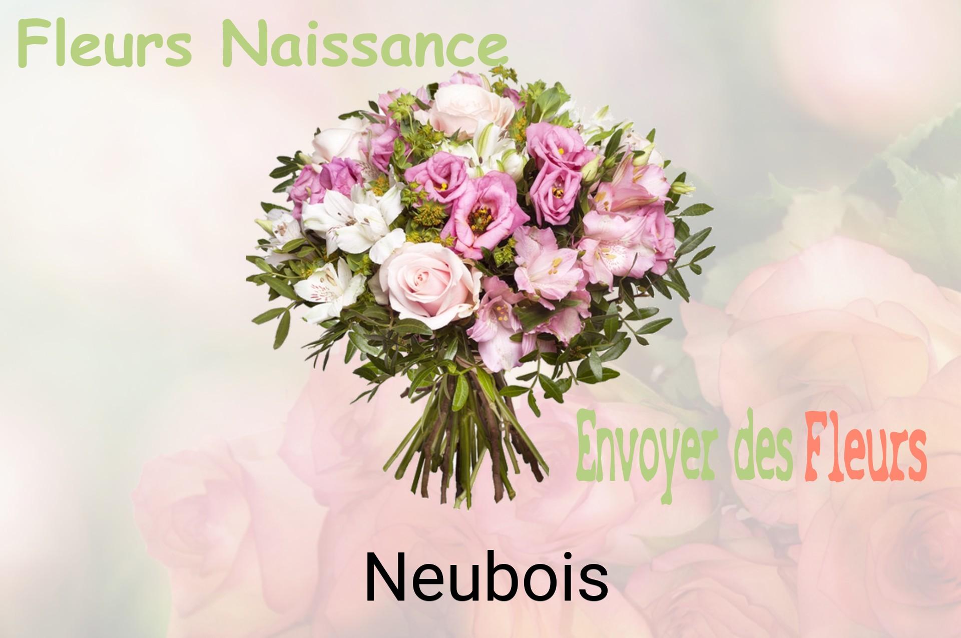 Bouquet de fleurs de naissance livré à Neubois